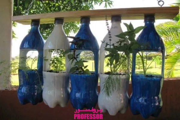 کاشتن گیاه در بطری