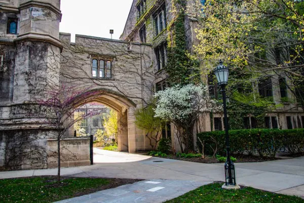 استفاده از تراورتن در مسیرهای باغ